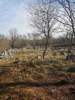 /international/hr/krk-primorje-gorski-kotar-county-120090402930/
