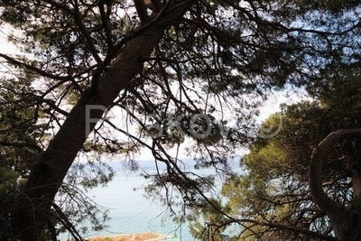 /international/hr/omis-split-dalmatia-county-310106632044/