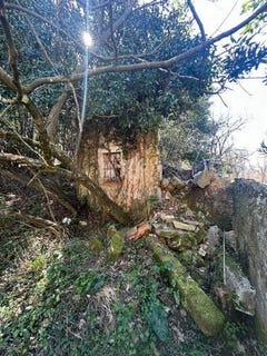 /international/hr/labin-istria-county-310108216699/