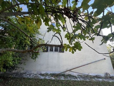 /international/hr/fazana-istria-county-310103061897/
