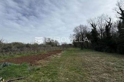 /international/hr/pula-istria-county-120090402438/