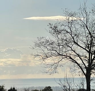 /international/hr/istarska-zupanija-istria-county-310103744592/