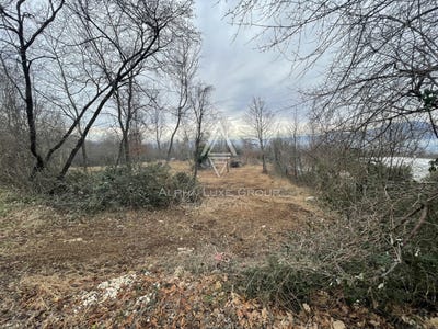 /international/hr/istarska-zupanija-istria-county-310103745328/