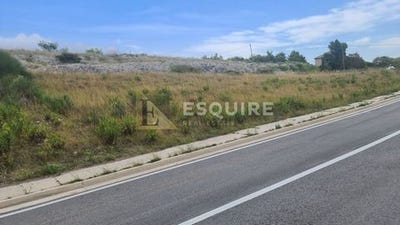 /international/hr/razanac-zadar-county-310101849984/