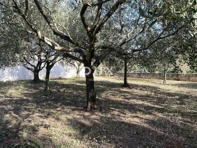 /international/hr/medulin-istria-county-310106548208/