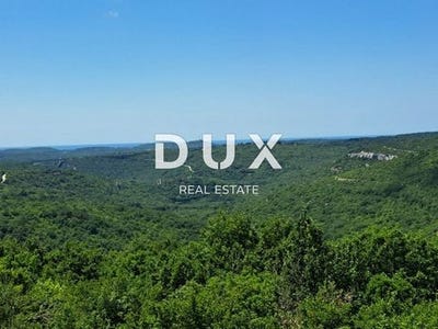 /international/hr/kanfanar-istria-county-310100281493/
