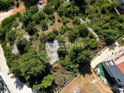 /international/hr/bibinje-zadar-county-310106878300/
