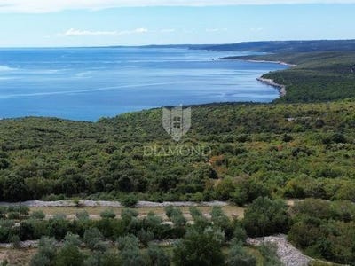/international/hr/rasa-istria-county-120098077123/