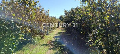 /international/hr/međimurska-zupanija-međimurje-county-310106856761/
