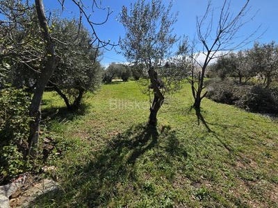 /international/hr/kastel-luksic-split-dalmatia-county-310106689281/