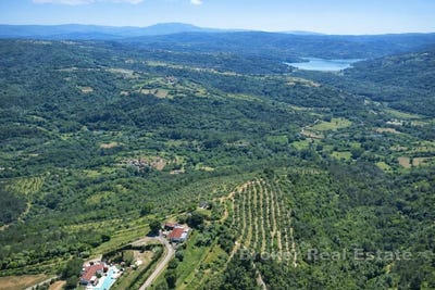 /international/hr/pazin-istria-county-310107219676/