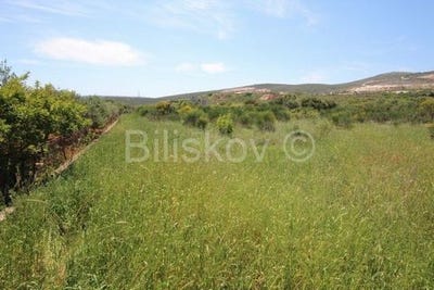 /international/hr/trogir-split-dalmatia-county-310107679143/