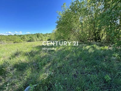 /international/hr/istarska-zupanija-istria-county-310106856123/