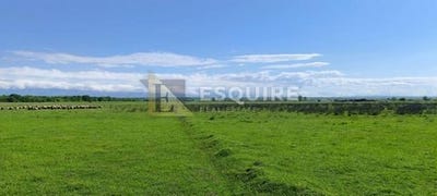 /international/hr/zemunik-donji-zadar-county-310103666128/