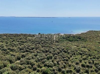 /international/hr/fazana-istria-county-310107864337/
