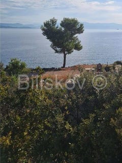 /international/hr/brac-split-dalmatia-county-120073588574/