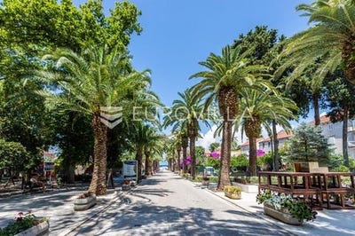 /international/hr/brac-split-dalmatia-county-310106632134/