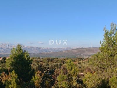 /international/hr/novigrad-istria-county-310102989350/