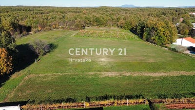 /international/hr/istarska-zupanija-istria-county-310103638241/