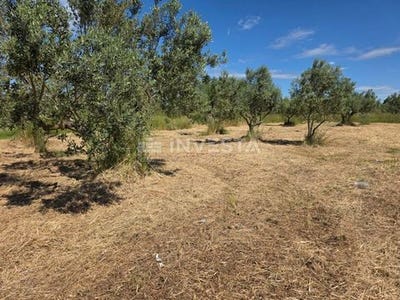 /international/hr/fazana-istria-county-310108271158/