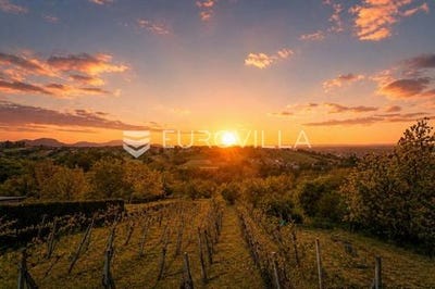 /international/hr/varazdin-varazdin-county-310108087046/