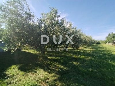 /international/hr/medulin-istria-county-310107190567/