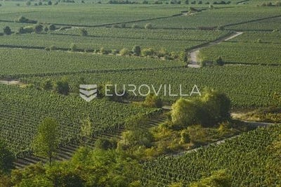 /international/hr/zadar-zadar-county-310104801527/