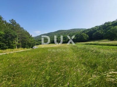 /international/hr/buzet-istria-county-310100281815/