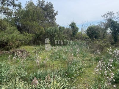 /international/hr/zadarska-zupanija-zadar-county-310108043267/