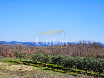 /international/hr/istarska-zupanija-istria-county-310101172047/