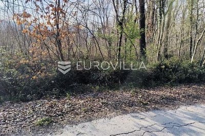 /international/hr/pazin-istria-county-310106519875/