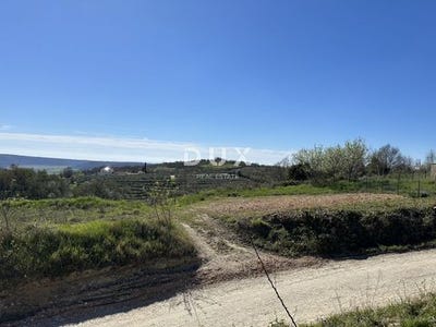/international/hr/buje-istria-county-310108868977/