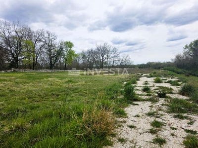 /international/hr/kanfanar-istria-county-310107066998/