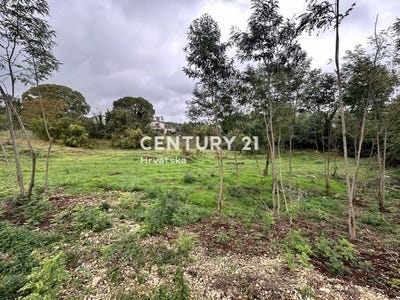 /international/hr/istarska-zupanija-istria-county-310096247626/