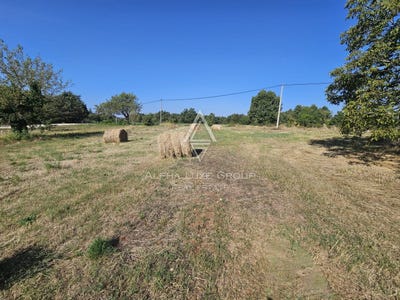 /international/hr/istarska-zupanija-istria-county-310103745361/