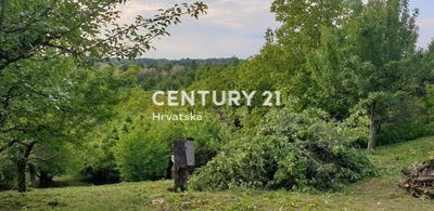 /international/hr/varazdinska-zupanija-varazdin-county-310096248044/