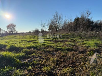 /international/hr/zadarska-zupanija-zadar-county-310108053544/