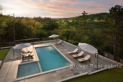 /international/hr/pazin-istria-county-310107218948/