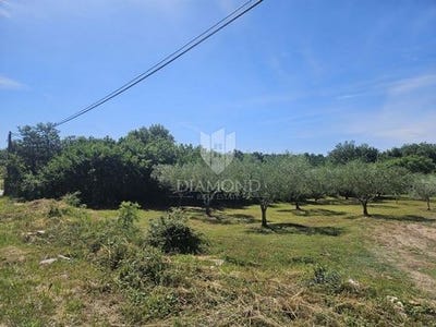 /international/hr/marcana-istria-county-310108762017/