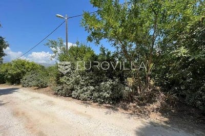 /international/hr/split-split-dalmatia-county-120078710322/