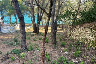 /international/hr/ugljan-zadar-county-310107218699/