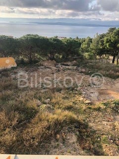 /international/hr/bol-split-dalmatia-county-120097720723/