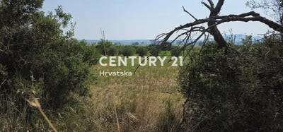 /international/hr/zadarska-zupanija-zadar-county-310106854496/
