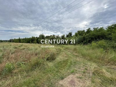 /international/hr/istarska-zupanija-istria-county-310106855965/