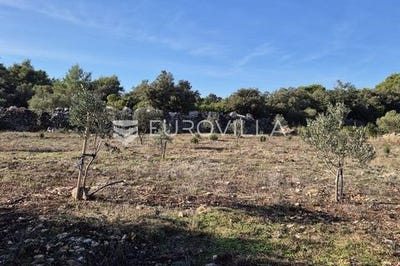 /international/hr/brac-split-dalmatia-county-310106195328/