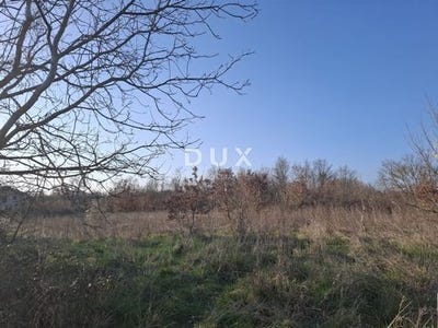 /international/hr/kanfanar-istria-county-310106488109/