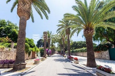 /international/hr/brac-split-dalmatia-county-310106714622/