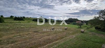 /international/hr/pican-istria-county-120093626285/