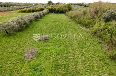 /international/hr/umag-istria-county-310107331873/