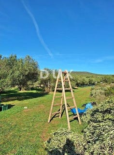 /international/hr/sveti-filip-i-jakov-zadar-county-310101901798/
